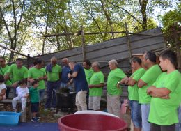 Colli Fontanelle - Vendemmia
